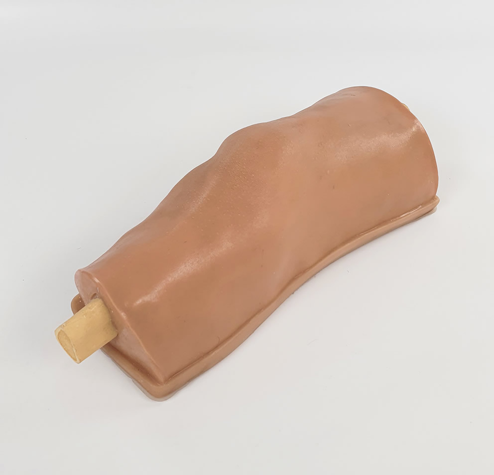 Knee Aspiration Trainer - SINI Medical Simulation